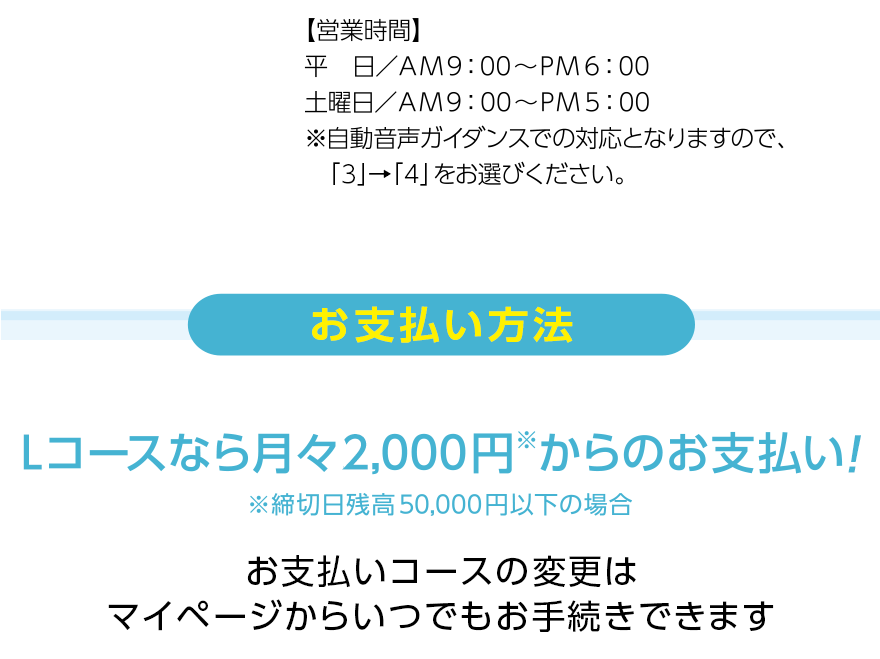 お支払いコースとご返済額