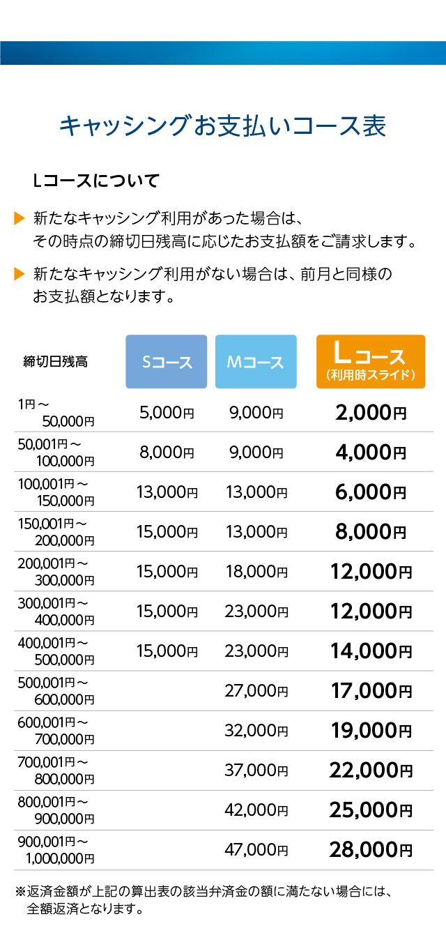 yf2015 追加料金お支払い用ページ お支払い報告 | レンタルサーバーならエックスサーバー