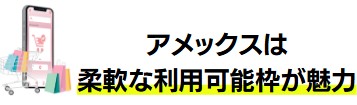 アメックス・プラチナ・カード®のショッピング枠の利用可能枠