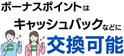 ボーナスポイントで請求書充当・キャッシュバックできる